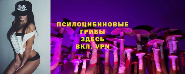 jwh Бородино