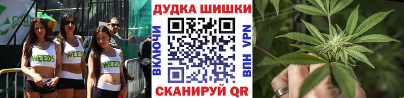 Конопля ГИДРОПОН Боровск